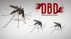 Ilustrasi DBD