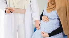 Ilustrasi ibu hamil naik haji