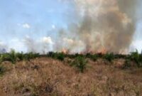 BPBD Kerinci himbau warga waspada Karhutla