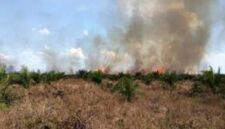 BPBD Kerinci himbau warga waspada Karhutla