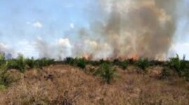 BPBD Kerinci himbau warga waspada Karhutla