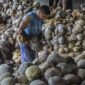 German investors target coconut downstream industry in Tanjabtim