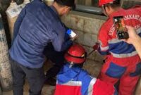 Tampak prosesi evakuasi Ular sanca yang masuk ruang oksigen RS Kambang