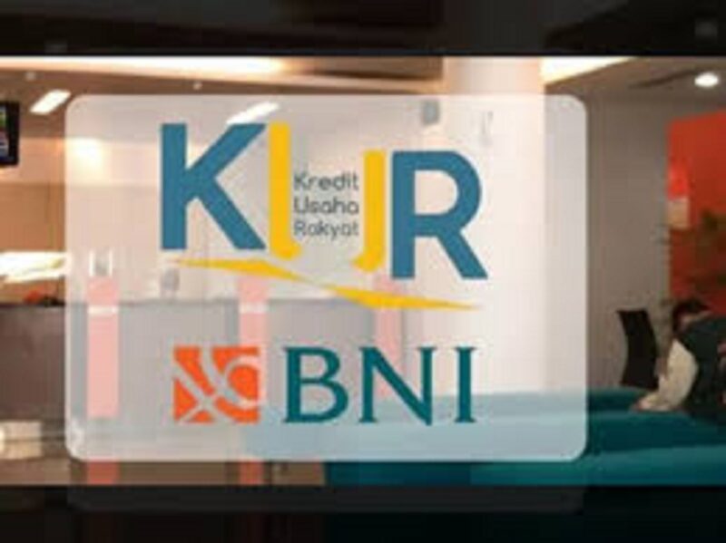 Cara agar KUR BNI Cepat cair