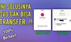 OVO Gagal Transfer atau Login? Ini Cara Mengatasi Error OVO Terbaru 2026 Agar Saldo Aman dan Transaksi Lancar