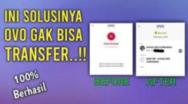 Transfer OVO gagal