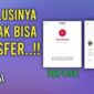 Transfer OVO gagal