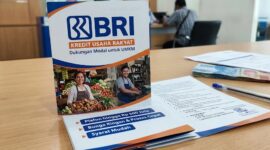 KUR BRI