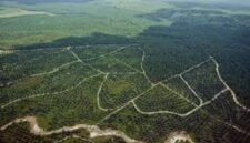Lowongan kerja sawit 2026, Goodhope Asia Holdings