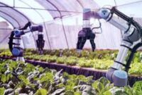 China Kuasai AI Dunia: Robot Humanoid, Data Center Bawah Laut, hingga Petani Teh Pintar Ancam Dominasi Teknologi Global