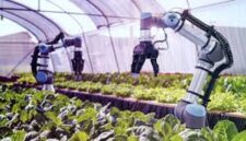 China Kuasai AI Dunia: Robot Humanoid, Data Center Bawah Laut, hingga Petani Teh Pintar Ancam Dominasi Teknologi Global