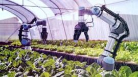 China Kuasai AI Dunia: Robot Humanoid, Data Center Bawah Laut, hingga Petani Teh Pintar Ancam Dominasi Teknologi Global