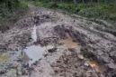 Tampak kondisi jalan Nipah Panjang yang rusak parah dan dibagikan akun facebook Sulton Efendy