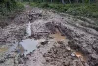 Tampak kondisi jalan Nipah Panjang yang rusak parah dan dibagikan akun facebook Sulton Efendy