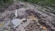 Tampak kondisi jalan Nipah Panjang yang rusak parah dan dibagikan akun facebook Sulton Efendy