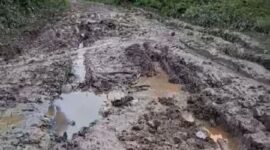 Tampak kondisi jalan Nipah Panjang yang rusak parah dan dibagikan akun facebook Sulton Efendy