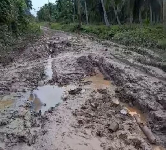 Tampak kondisi jalan Nipah Panjang yang rusak parah dan dibagikan akun facebook Sulton Efendy