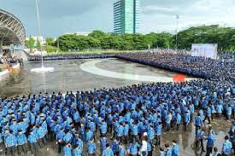 PPPK Paruh Waktu. (Sumber/Google)