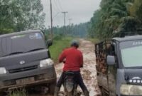 Tampak Kondisi jalan Kondisi jalan di Desa Sungai Jambat, Kecamatan Sadu, Kabupaten Tanjung Jabung Timur,