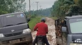 Tampak Kondisi jalan Kondisi jalan di Desa Sungai Jambat, Kecamatan Sadu, Kabupaten Tanjung Jabung Timur,