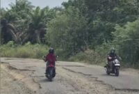 Tampak kondisi jalan Tebo- Rimbo Bujang rusak parah