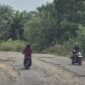 Tampak kondisi jalan Tebo- Rimbo Bujang rusak parah