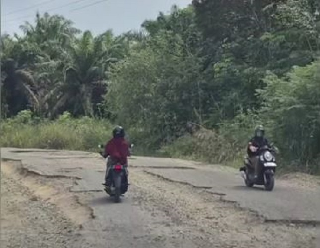 Tampak kondisi jalan Tebo- Rimbo Bujang rusak parah