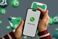 Fitur baru WhatsApp, pesan menghilang setelah dibaca