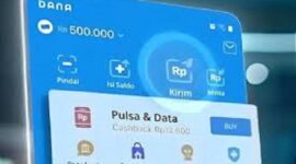 Biaya Admin transaksi di DANA