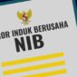 NIB
