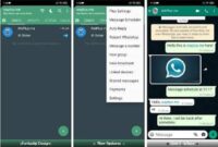 WhatsApp Plus