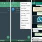 WhatsApp Plus