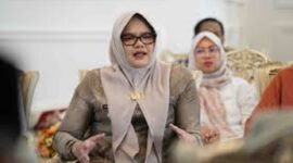 Bupati tanjung jabung timur, Dillah Hikmah Sari
