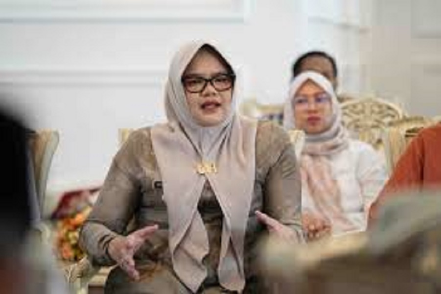 Bupati tanjung jabung timur, Dillah Hikmah Sari
