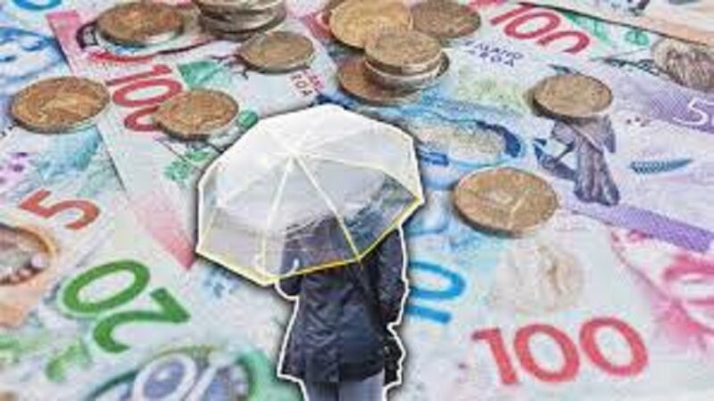 multi policy insurance discount