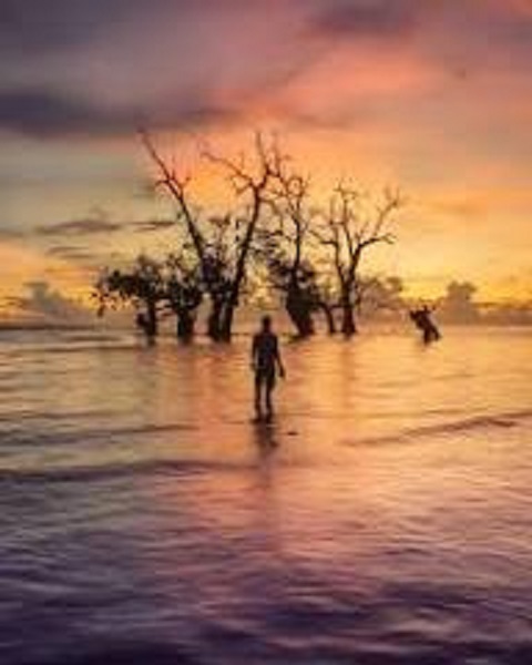 The Mentawai Islands are a true paradise for beach lovers and thrill-seekers. Renowned worldwide, Mentawai boasts some of the most perfect and consistent surfing breaks on the planet. With its crystal-clear turquoise waters, white sandy shores, and pristine coral reefs, it offers an unforgettable tropical escape. Whether you are a professional surfer looking for extreme barrels or simply seeking a serene, untouched island getaway, Mentawai’s stunning coastal landscapes provide the ultimate destination.