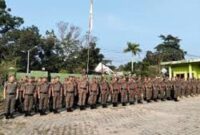 Ilustrasi PPPK Teknis Pol PP