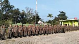 Ilustrasi PPPK Teknis Pol PP