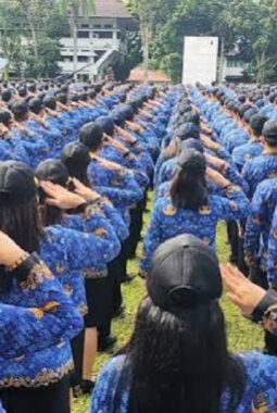 Gaji PPPK Paruh Waktu Daerah Ini Sudah Disiapkan, Namun Cuma Sampai Bulan Juni