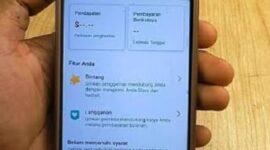 Facebook Pro payout tidak masuk