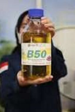 B50 Segera Berlaku, Harga Sawit Berpeluang Naik! Ini Dampaknya bagi Petani Jambi dan Pengguna Solar