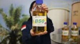 B50 segera diluncurkan