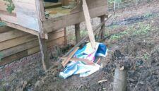 Tampak pondok milik warga Sungai Abu Rusak dibobol beruang