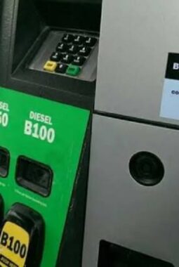 Resmi Berlaku! Presiden Prabowo Luncurkan Biodiesel B50, Harga Solar, Industri Sawit hingga Kendaraan Diesel Bakal Berubah