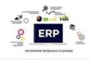 ERP untuk UMKM