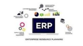 ERP untuk UMKM