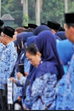 Heboh!, SE Petunjuk Teknis Pengusulan Pemberhentian PNS, PPPK, PPPK PW Terbit, Ini Isinya