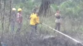 Karhutla Ancam Muaro Jambi