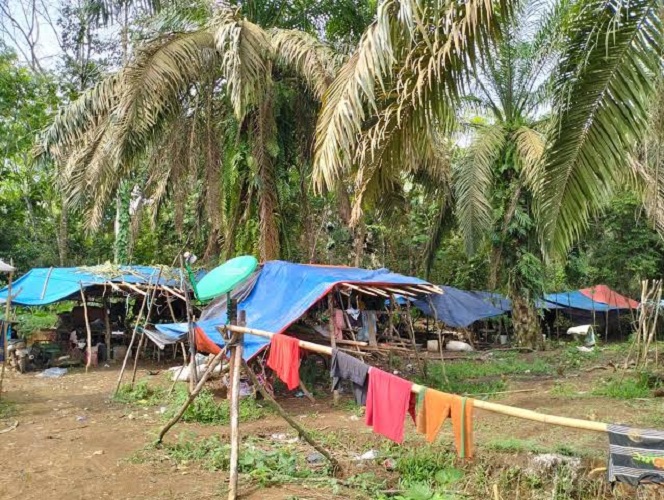 20 KPM SAD Sarolangun terima Bantuan KPH