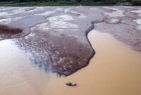 Tampak kondisi sungai batang hari yang kian menghering